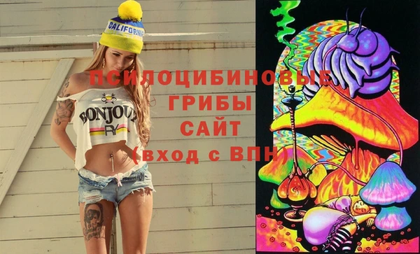 бошки Армянск