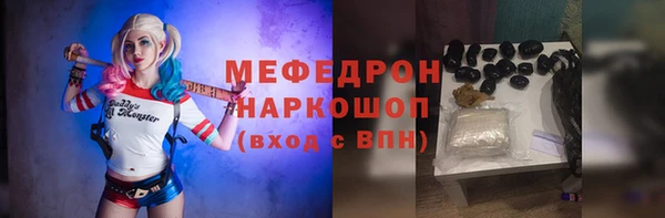 индика Аркадак