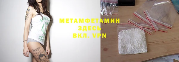 индика Аркадак