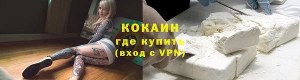 ешки Арсеньев