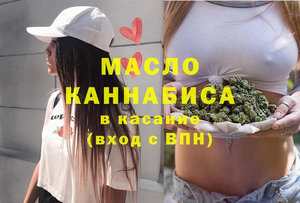 индика Аркадак