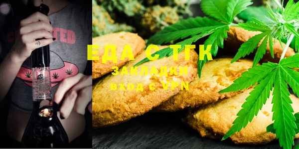 индика Аркадак