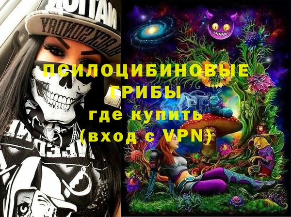 бошки Армянск