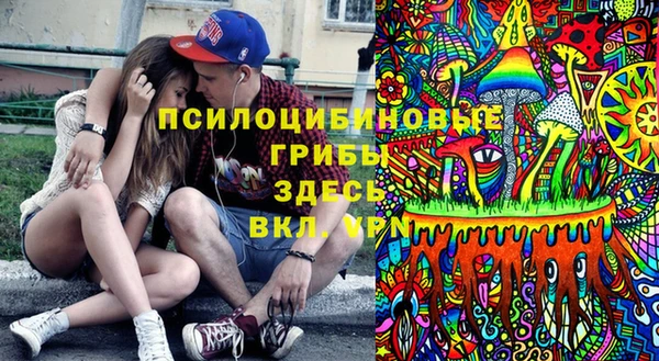 ешки Арсеньев