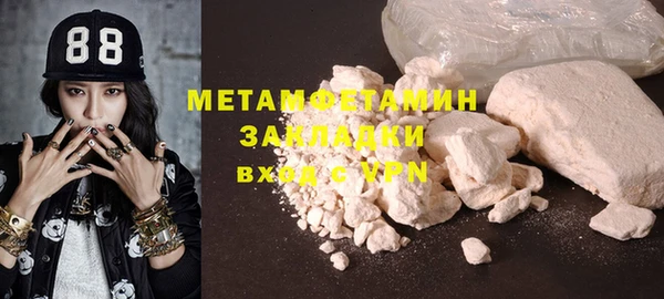 индика Аркадак