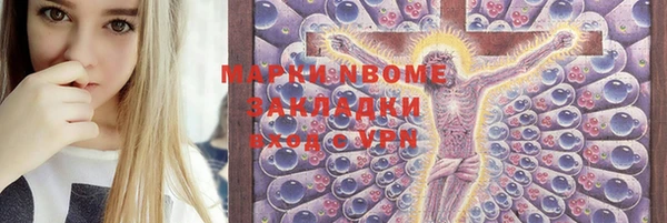 индика Аркадак
