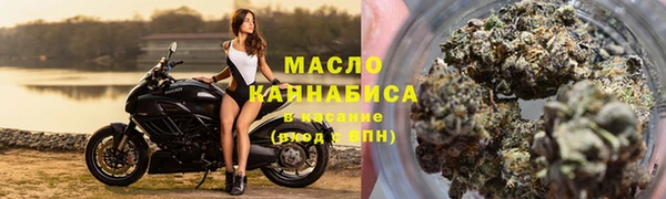 индика Аркадак