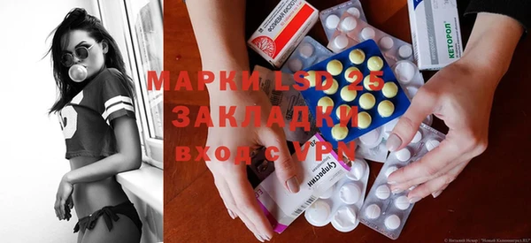 индика Аркадак