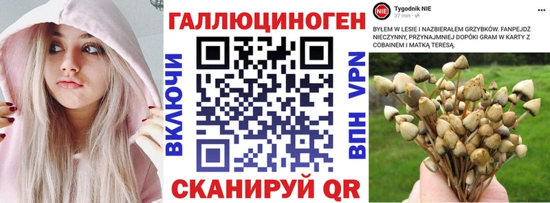 Галлюциногенные грибы GOLDEN TEACHER  Кремёнки 